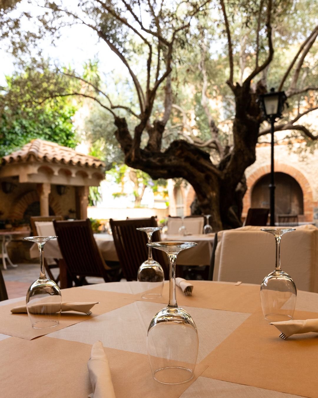 Pati interior amb olivera centenària