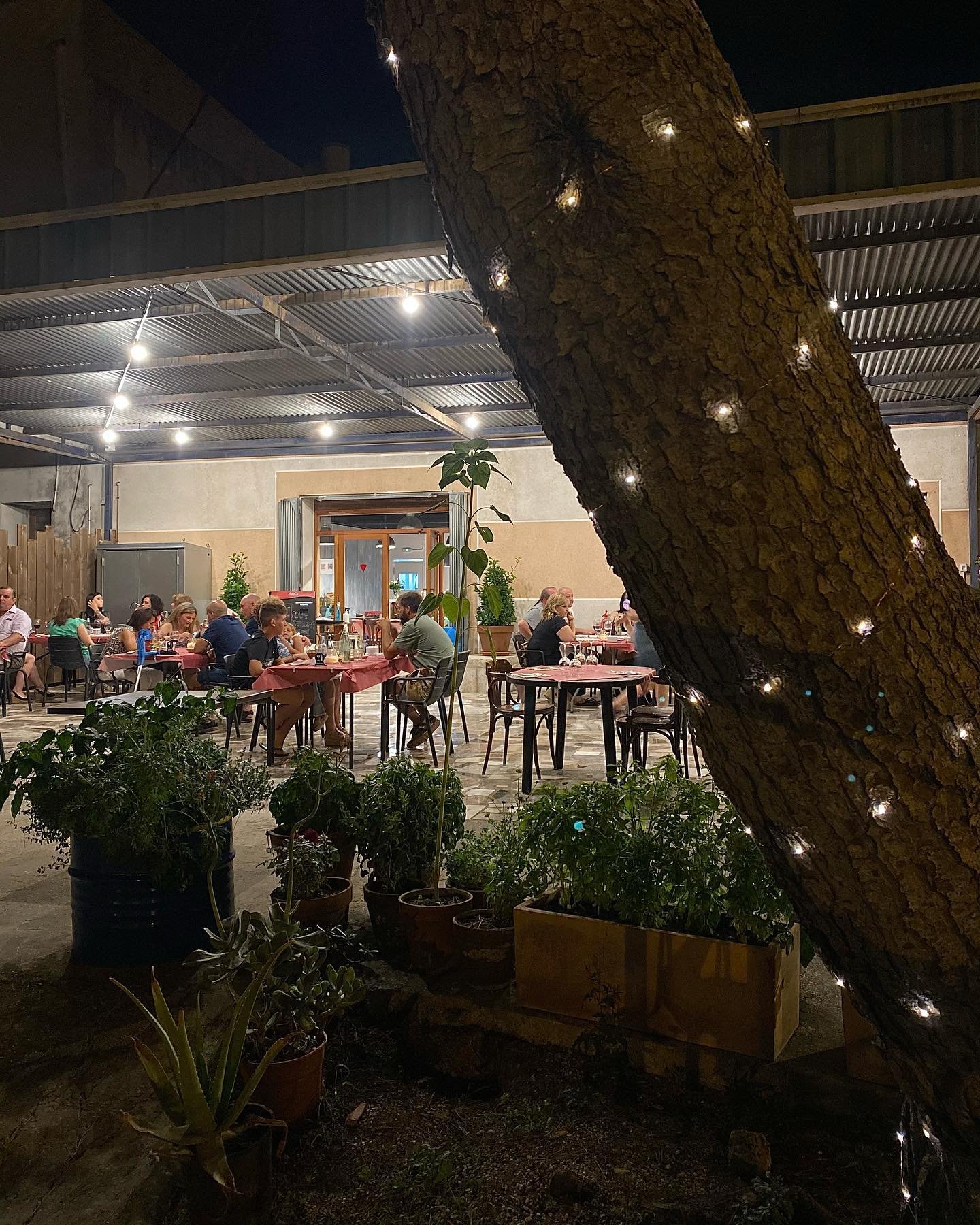 Terrassa de nit amb arbre